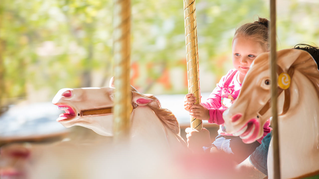 Carousel at Cliffs Amusement Park