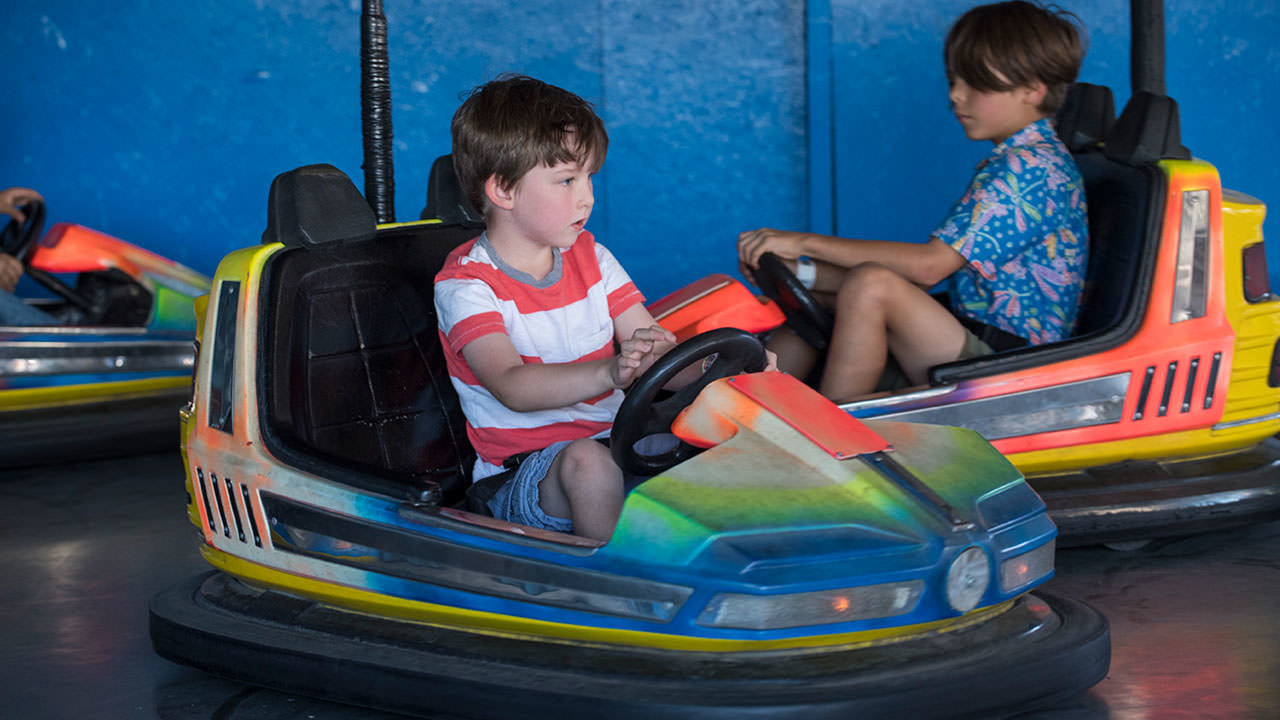 Kiddy Bumper Cars at Cliffs Amusement Park