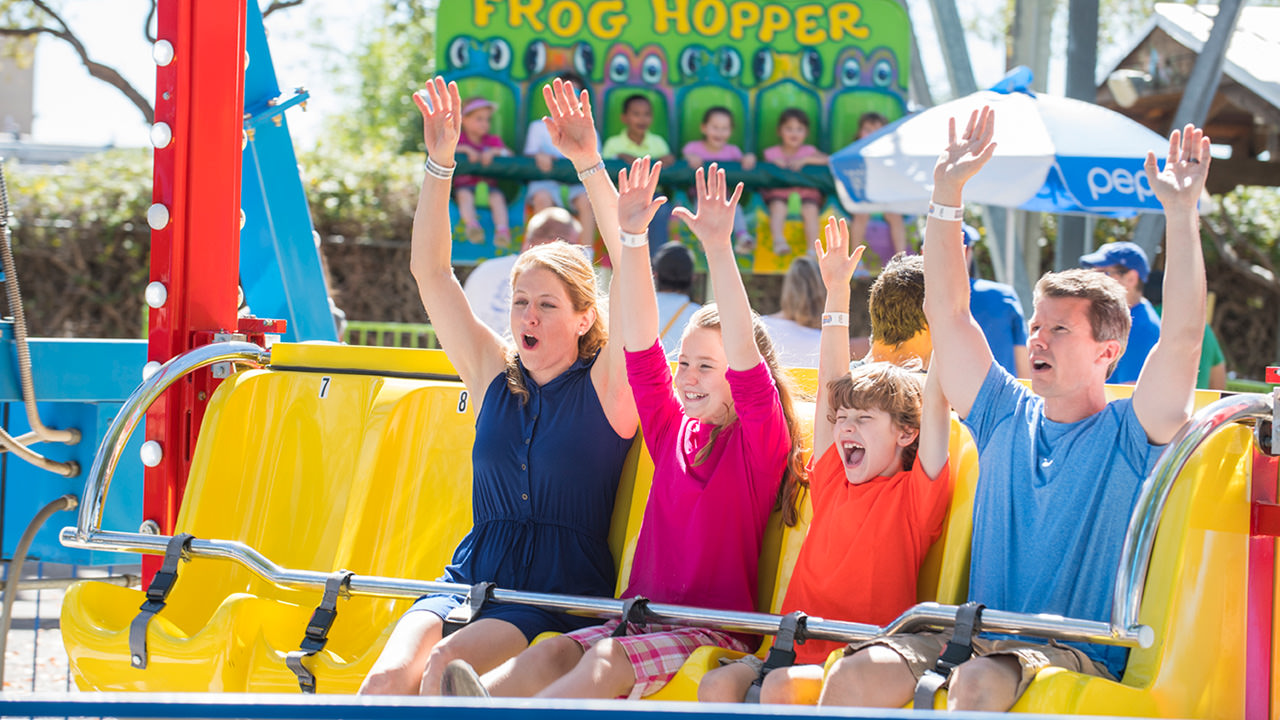 Guests on the Happy Swing